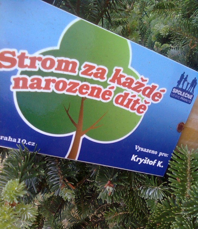 Obraz0270